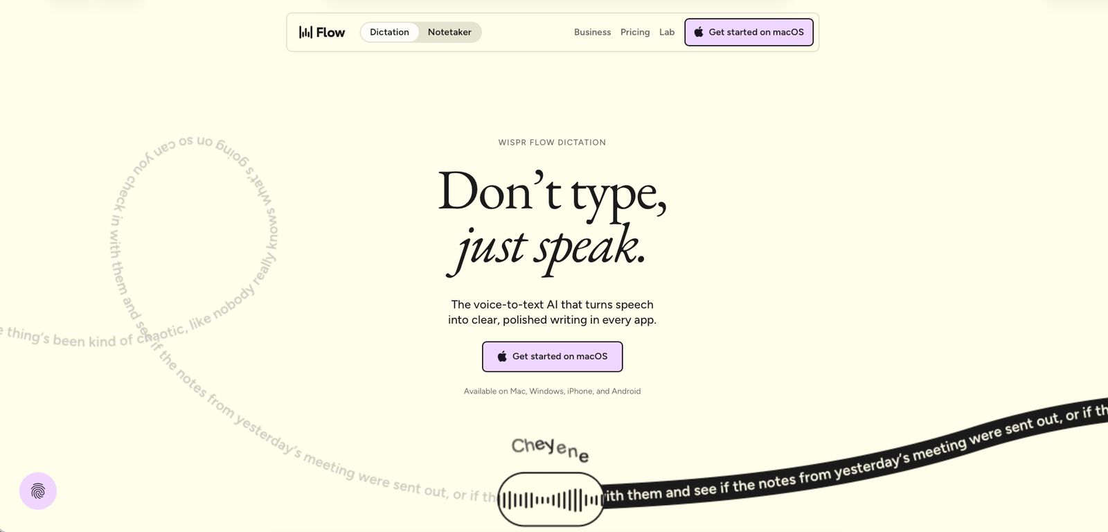 Wispr Flow homepage